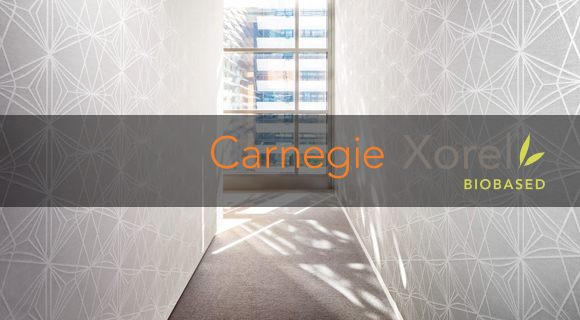 brand_carnegie_xorel